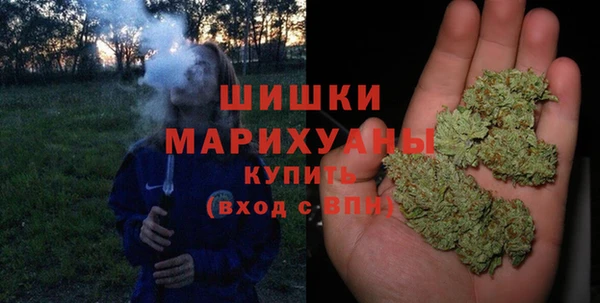 шишки Мегион
