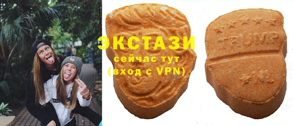 шишки Мегион