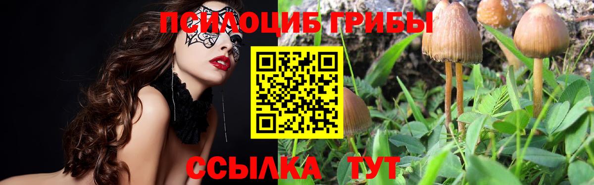 наркошоп  Вход с VPN  Псилоцибиновые грибы MAGIC MUSHROOMS  Лесозаводск  Галлюциногенные грибы Psilocybine cubensis 